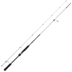 CANNE SPINNING MITCHELL TANAGER SW SPINNING ROD